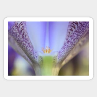 Exquisite iris Sticker